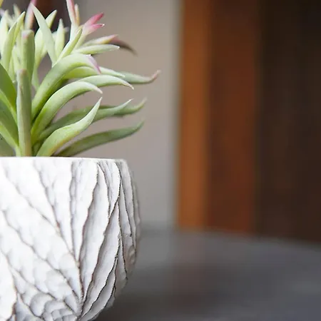 شقة Seascape - Fantastic Location With Sea Views! *