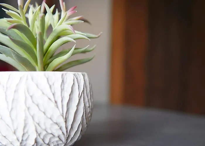 アパート Seascape - Fantastic Location With Sea Views! *